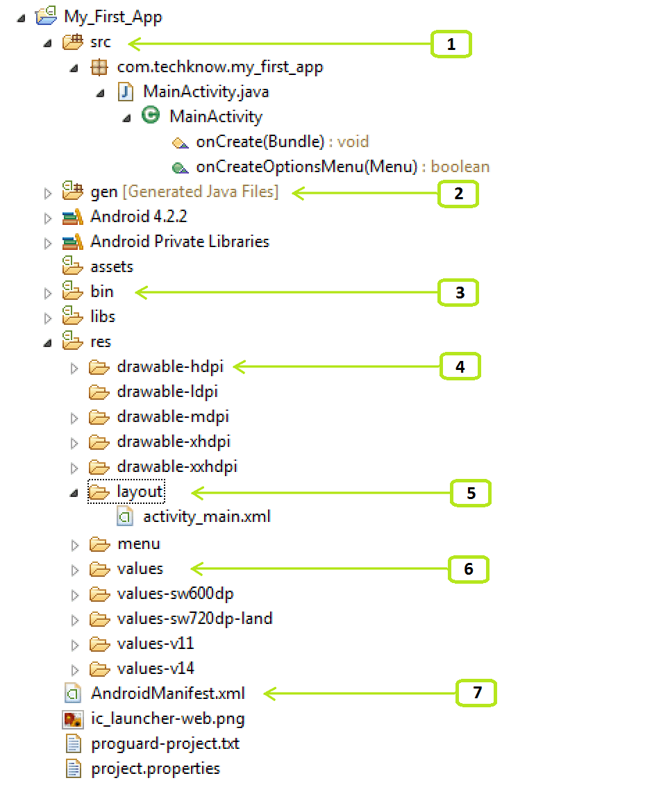 Android anatomy Structure