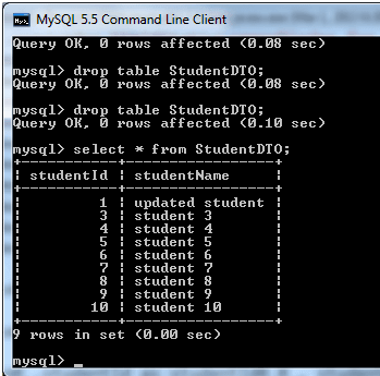 Hibernate CRUD Output